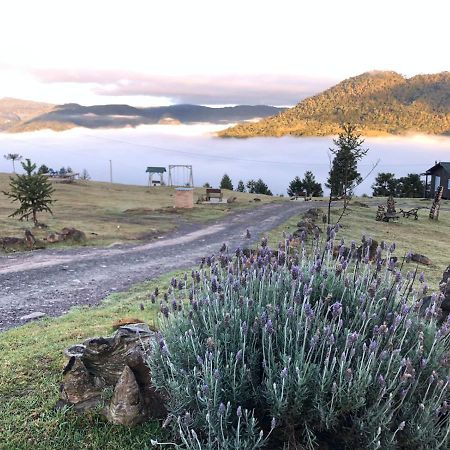 Pousada Colina Dos Ventos - Cabana Alpha Urubici Dış mekan fotoğraf