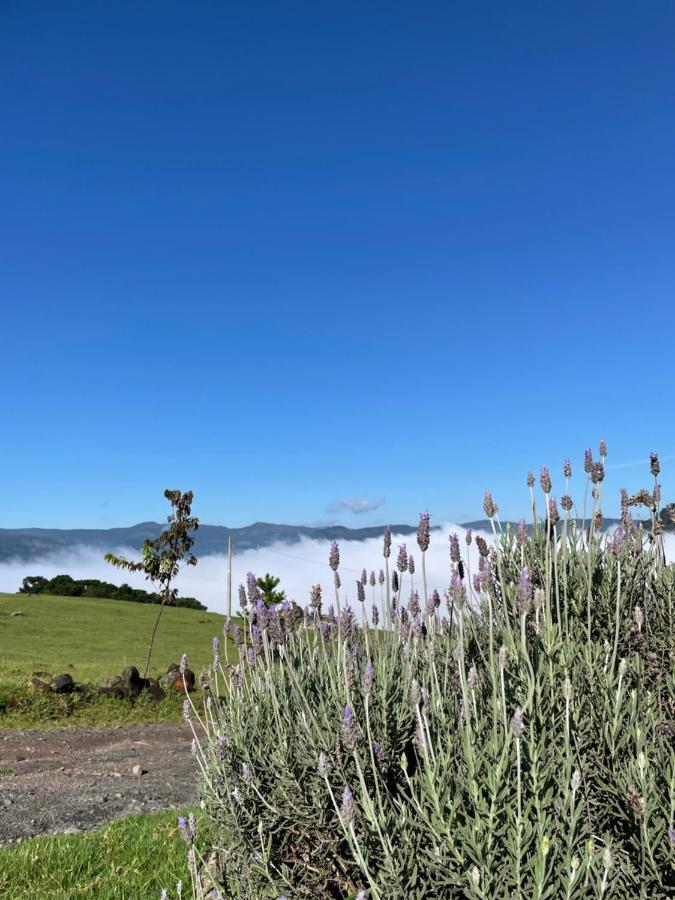 Pousada Colina Dos Ventos - Cabana Alpha Urubici Dış mekan fotoğraf
